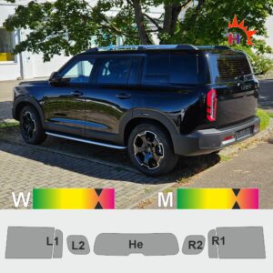 BAIC Beijing BJ30 passgenaue Tönungsfolie